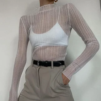 Elegant Mesh Long Sleeve Mock Neck Top